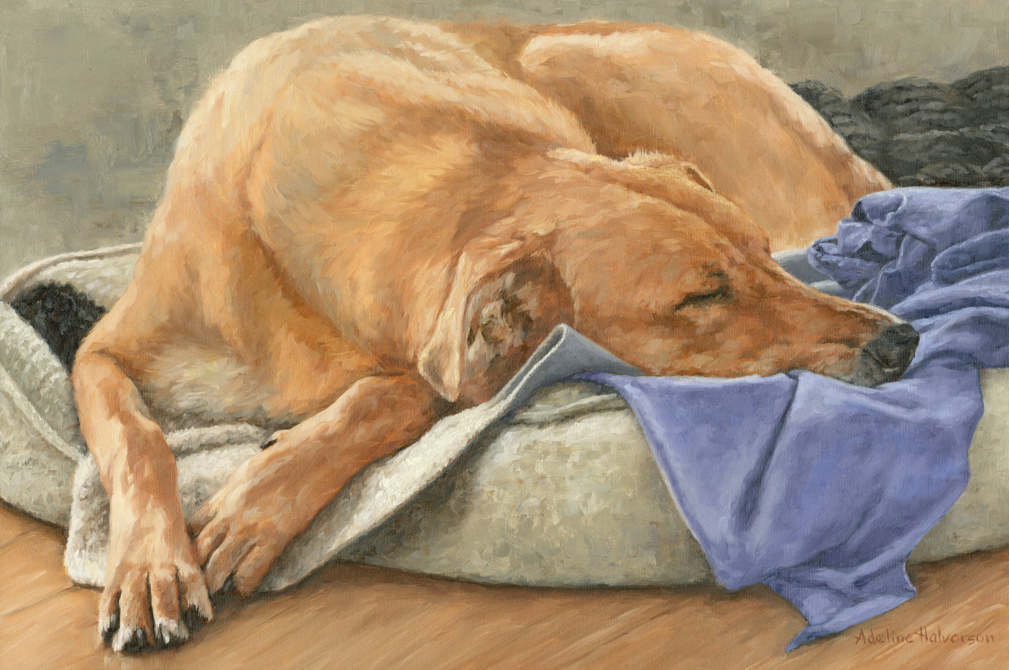 Forty Winks