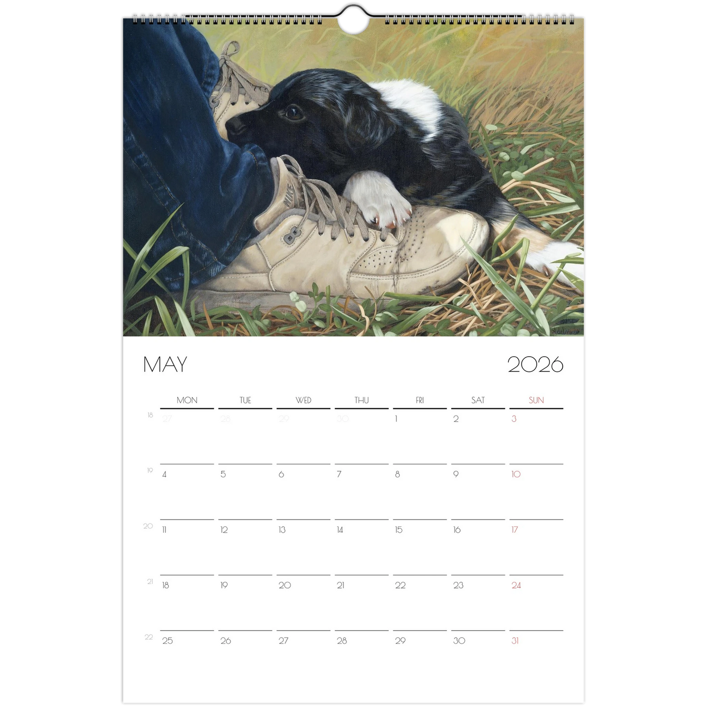 02d958a8-a479-4103-ba1e-65a63c9e6867