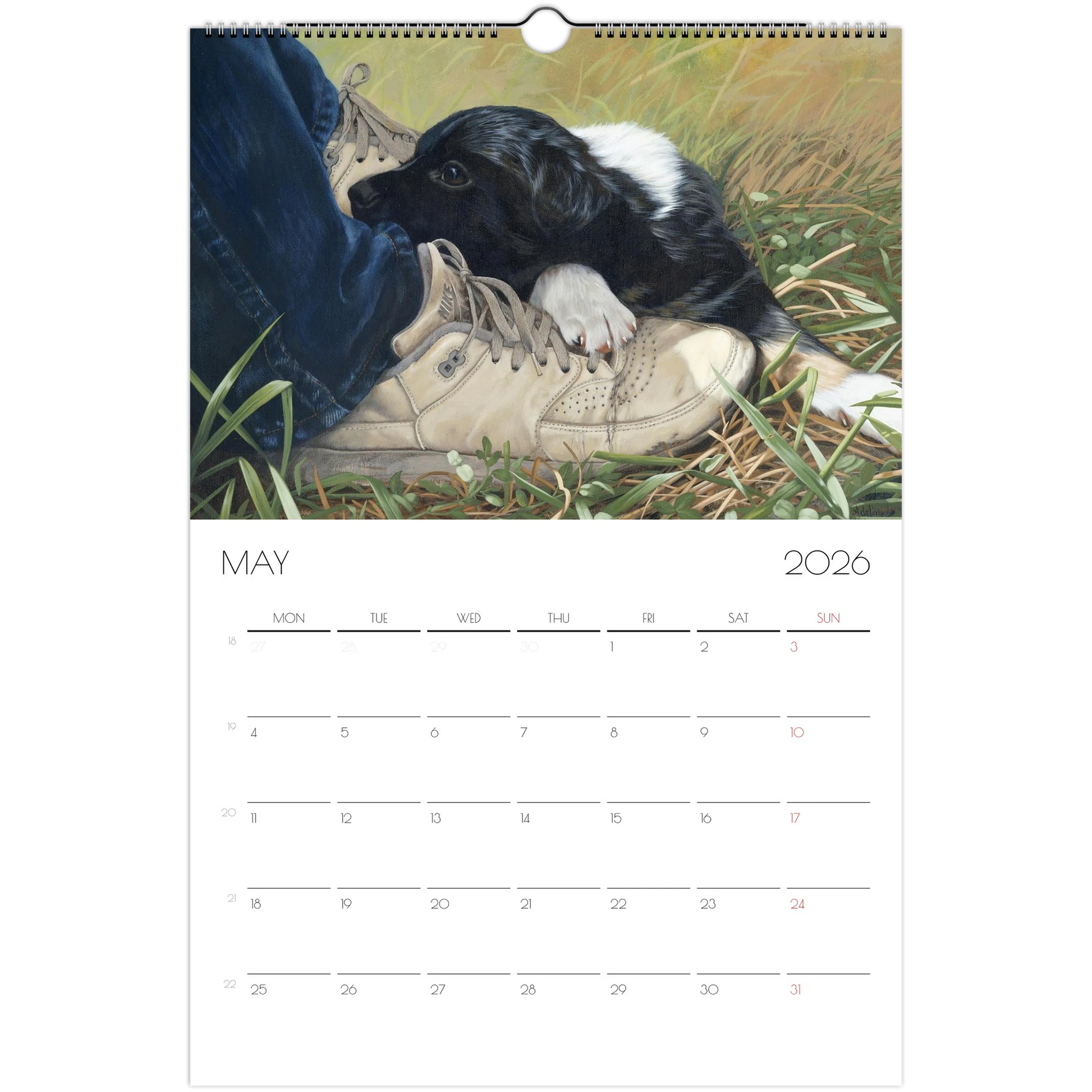 02d958a8-a479-4103-ba1e-65a63c9e6867