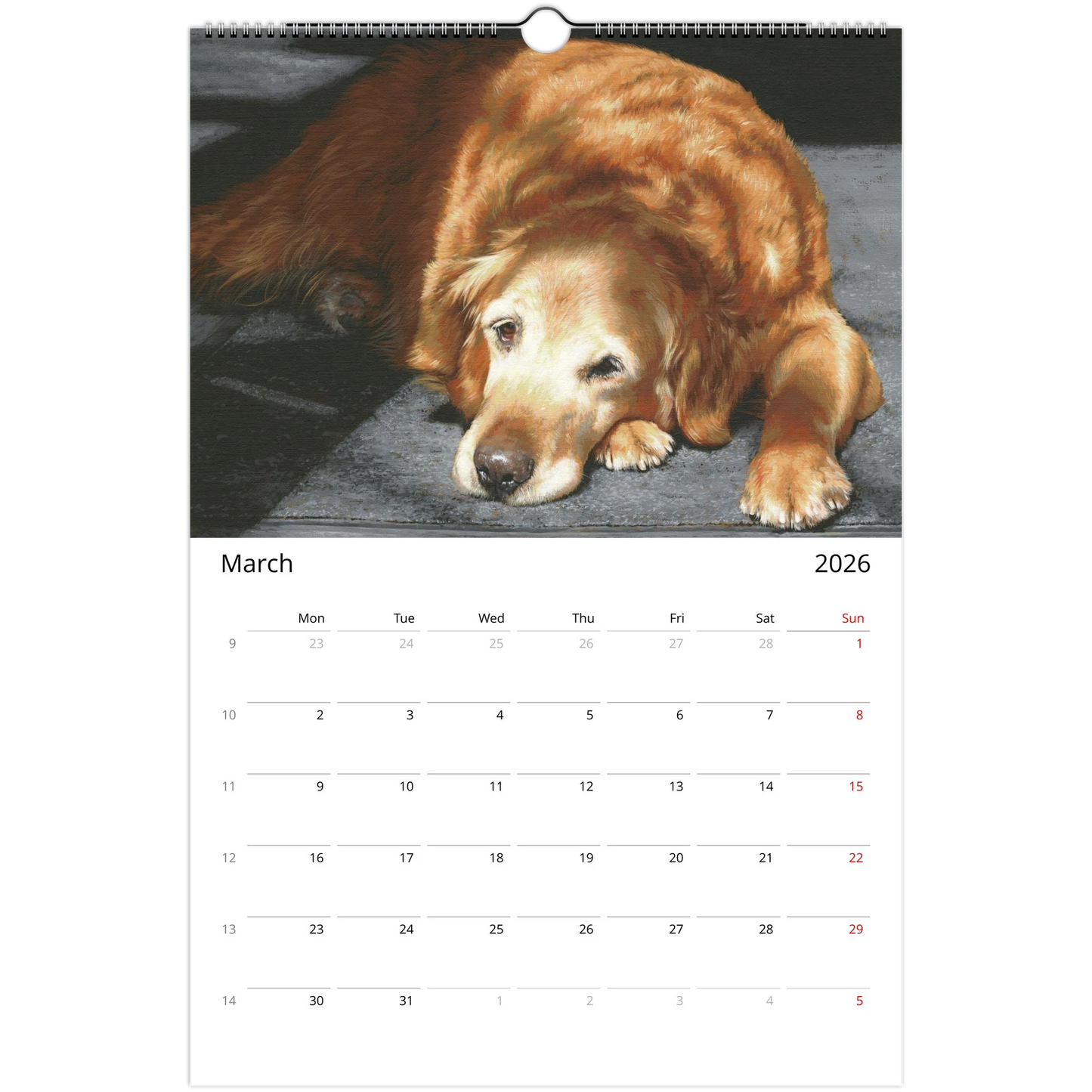 1878c43e-027b-4bfc-9dfd-d96edad43fd7