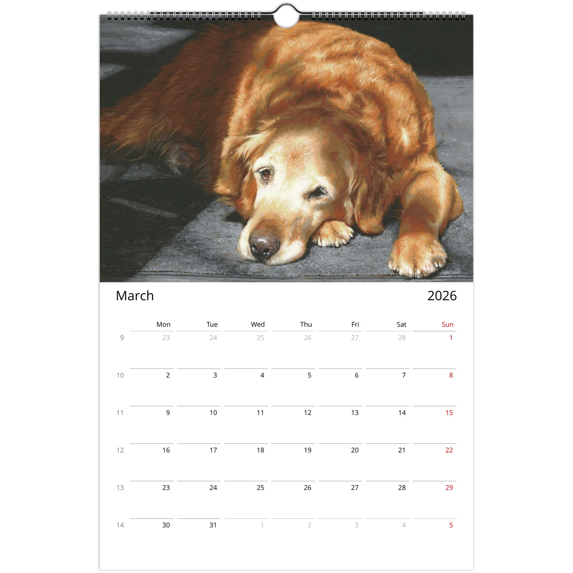 1878c43e-027b-4bfc-9dfd-d96edad43fd7