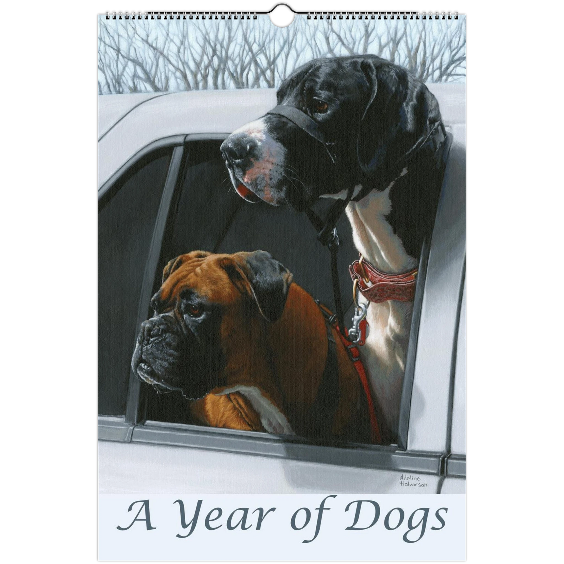 3c3830ef-4005-44b1-a3ff-b198a94c6d41