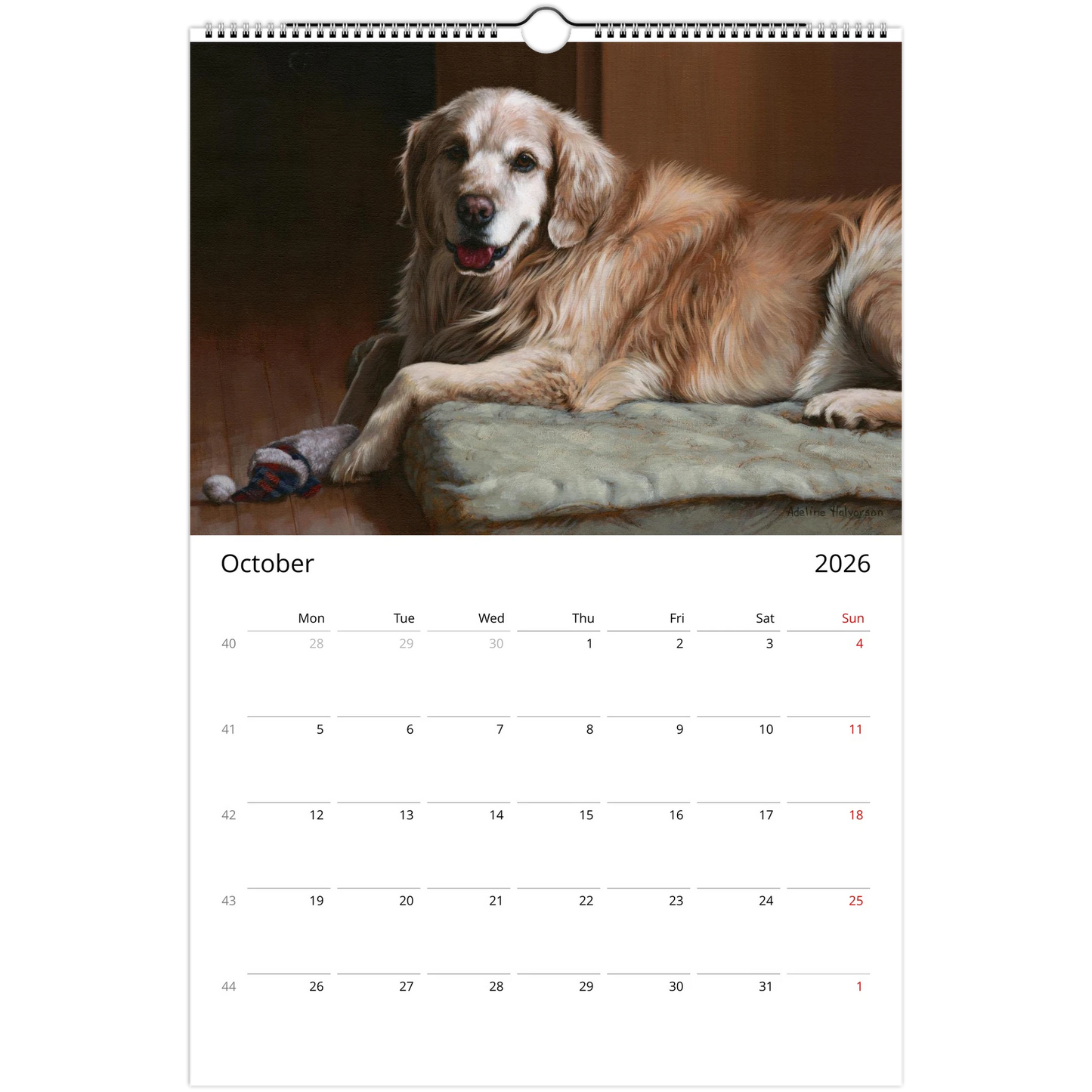 508ca7d2-0c2f-45d8-a5d5-7d0b860d047a