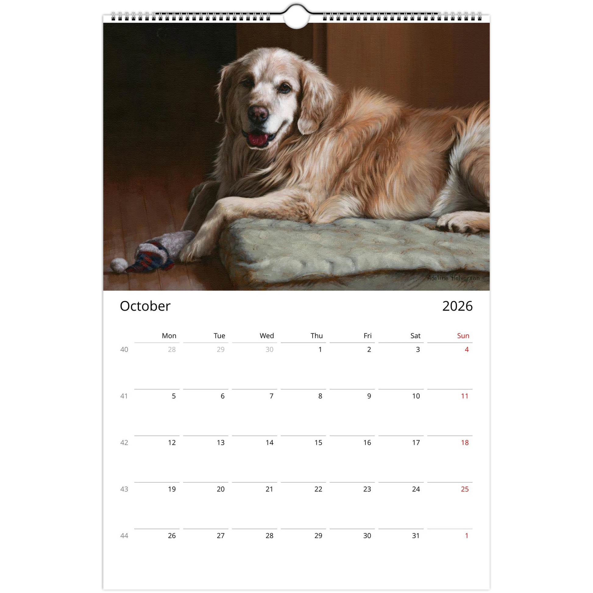 508ca7d2-0c2f-45d8-a5d5-7d0b860d047a