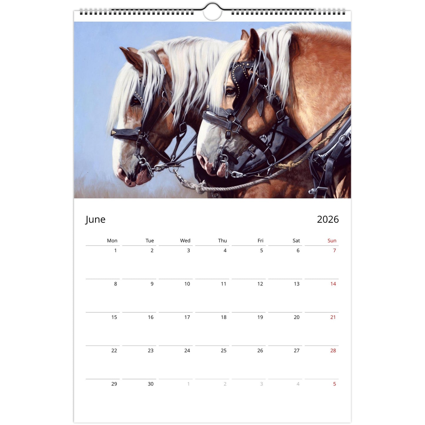 593e5105-70cc-4fc3-9c93-14ad02a5f234