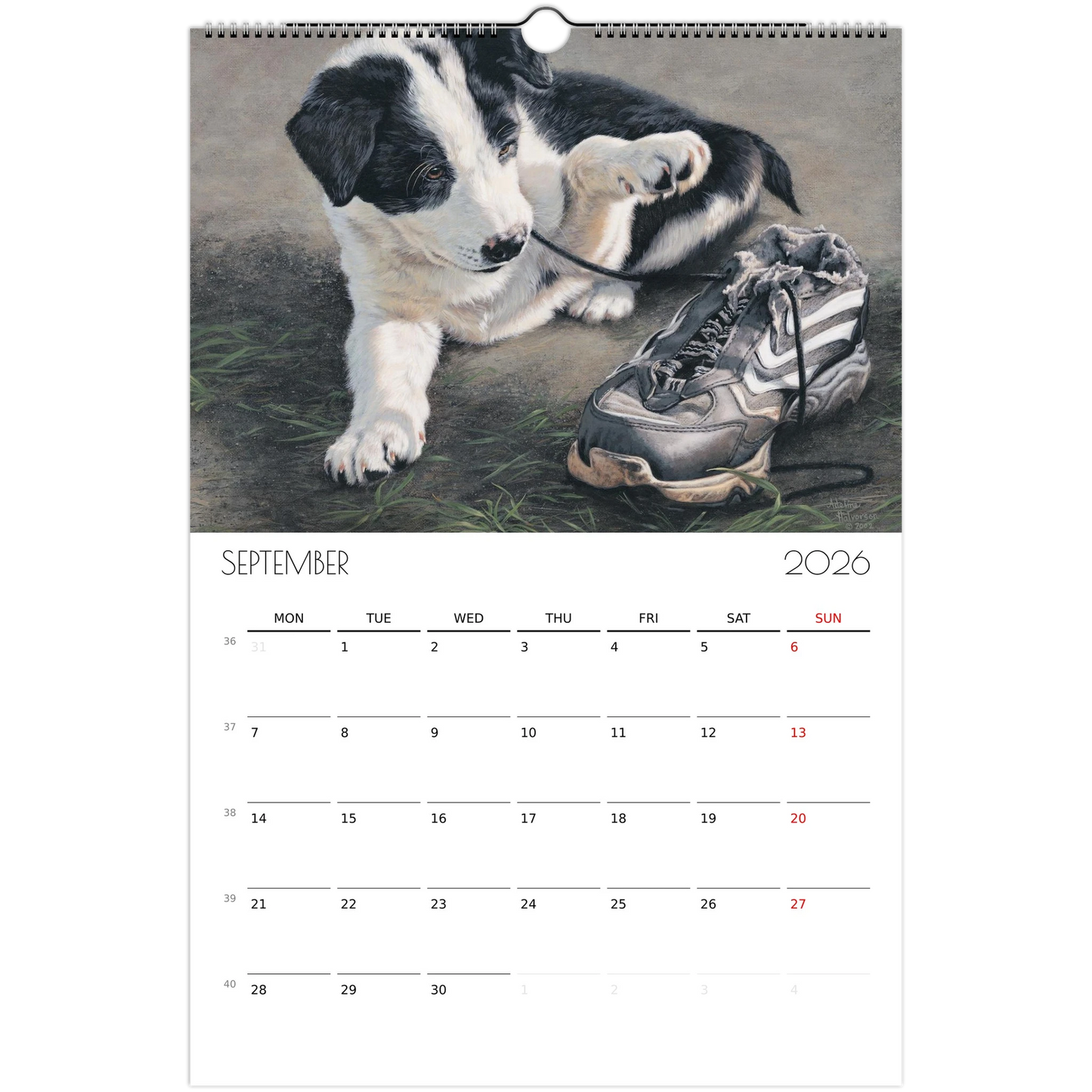 5ebf6774-f9b6-4094-a5f7-5fe98fbd63c3