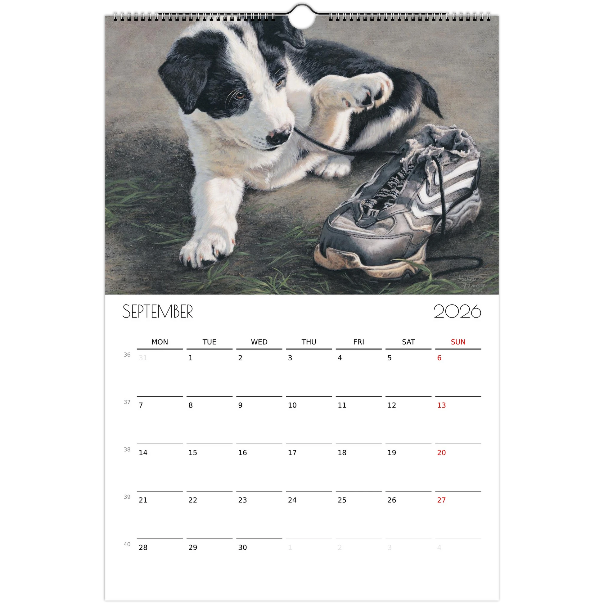 5ebf6774-f9b6-4094-a5f7-5fe98fbd63c3