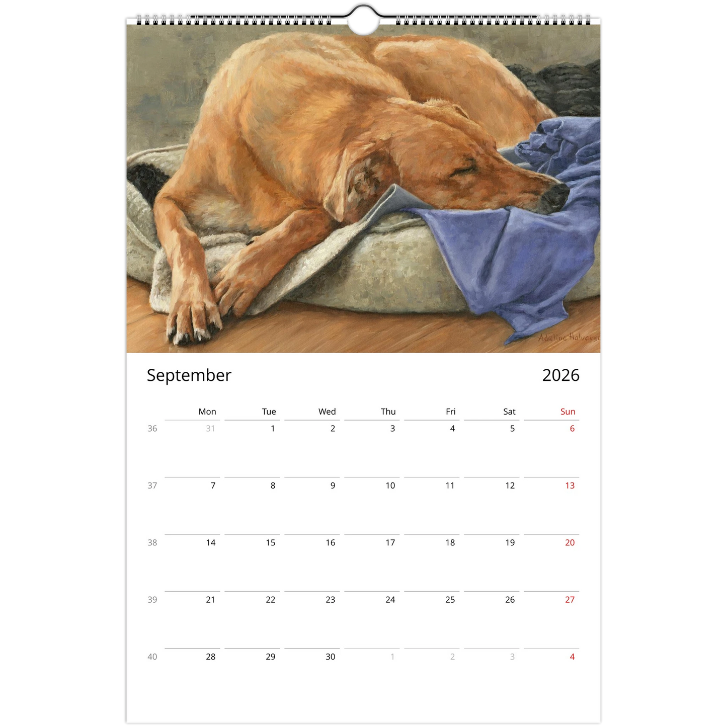 81733e72-e56a-4d18-b754-2c14cfe3f42e