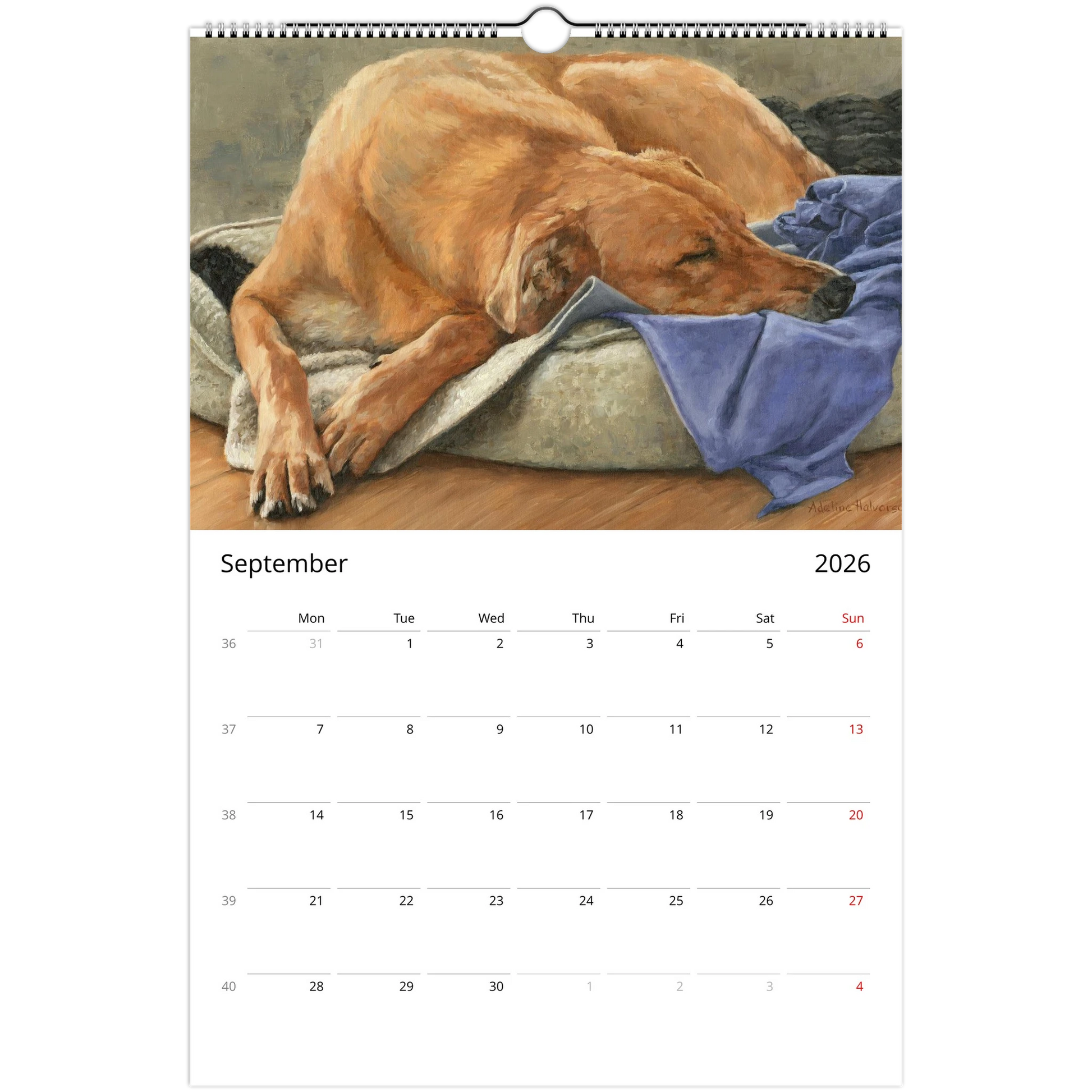 81733e72-e56a-4d18-b754-2c14cfe3f42e