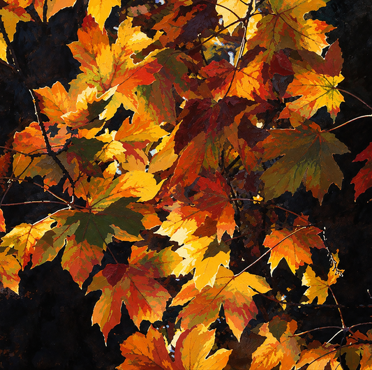 Clearly Canadian Autumn