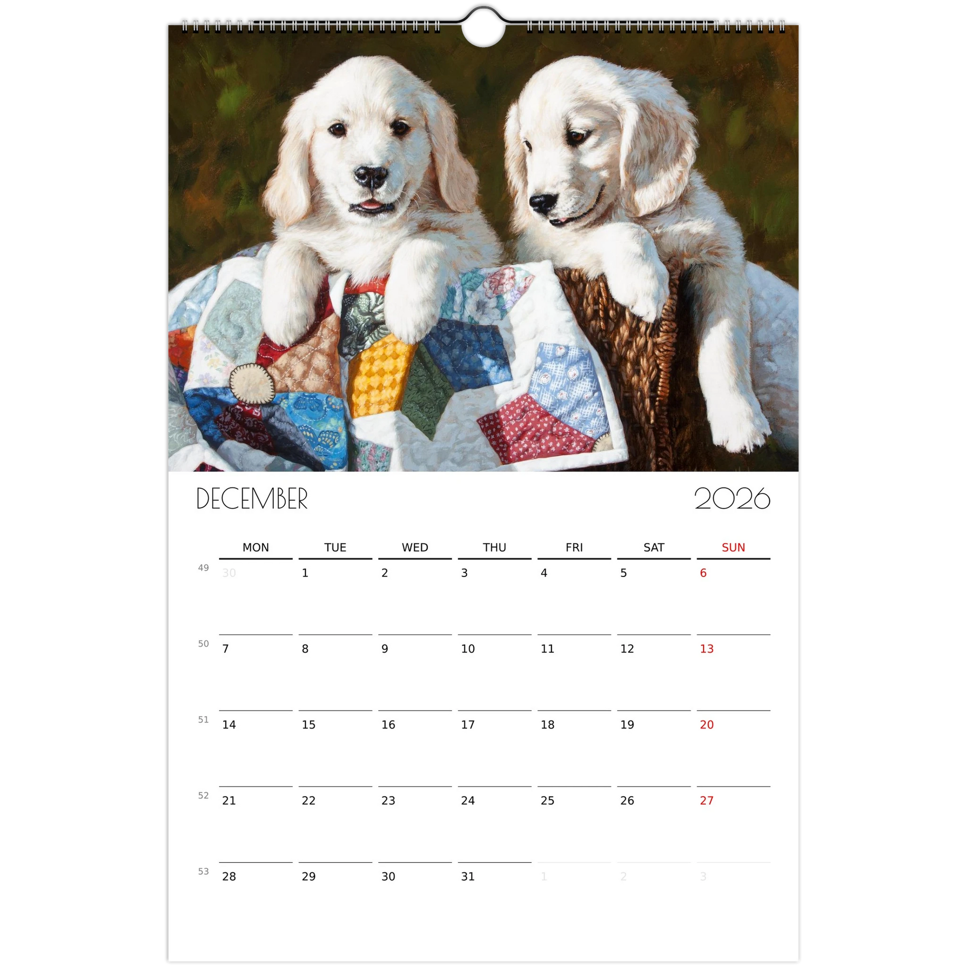 e13fcecd-3bf6-460c-b4a2-da5dc8234ae8